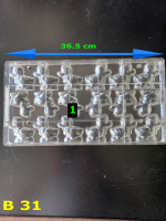 /album/galerie-de-photos-serie-b-animaux/b-31-jpg/